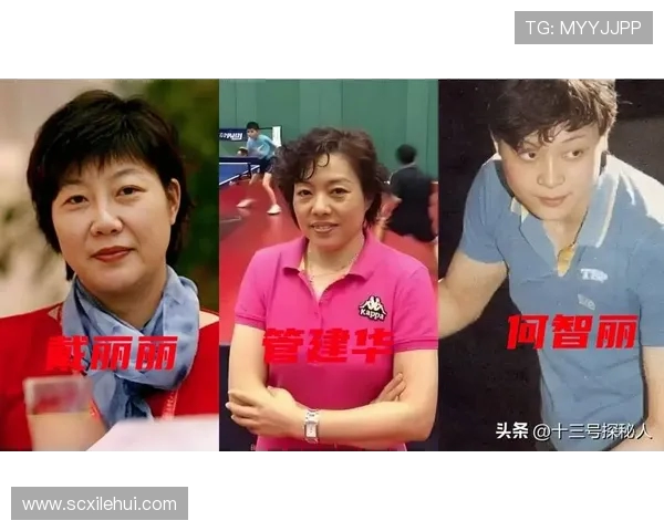 小山智丽与邓亚萍精彩对决视频回顾乒乓球巅峰时刻的较量与传奇